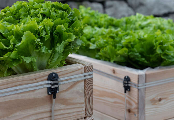 KERBL SnailStop Beetverbinder 2,5 m für elektrischen Schneckenzaun